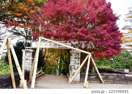 伊豆市　修善寺虹の郷の伊豆の村入口と紅葉 125546045