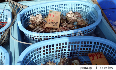 朝の市場 朝の市場 125546169