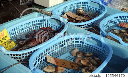 朝の市場 125546170