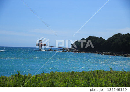 高知県土佐清水市　竜串海底館 125546529