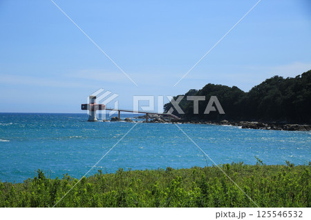 高知県土佐清水市　竜串海底館 125546532