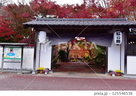 伊豆市 修善寺虹の郷日本庭園の菖蒲門と紅葉 伊豆市 修善寺虹の郷日本庭園の菖蒲門と紅葉 125546536