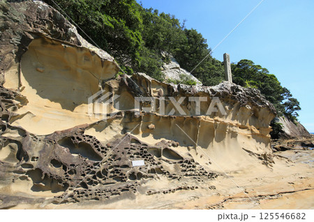 高知県土佐清水市　竜串海岸の風景 125546682