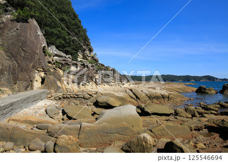 高知県土佐清水市　竜串海岸の風景 125546694