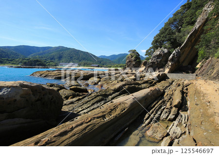 高知県土佐清水市　竜串海岸の風景 125546697