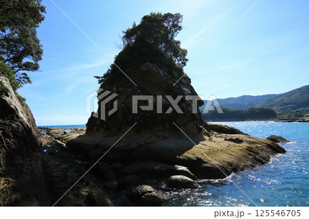 高知県土佐清水市　竜串海岸の風景 125546705
