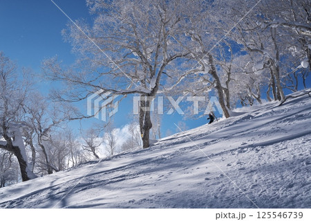 ニセコ東急 グラン・ヒラフ・ゲレンデの林間コース ニセコ東急 グラン・ヒラフ・ゲレンデの林間コース 125546739