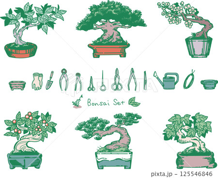 盆栽と盆栽道具のイラストセット 125546846