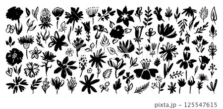 Black ink plants. Paint brush drawing flowers, branches, leaves. Hand drawn floral, abstract art decorative botanical design. Isolated neoteric vector set 125547615