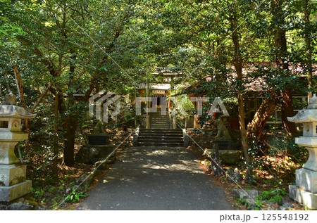 埼玉県寄居町風布のパワースポット　釜山神社 125548192