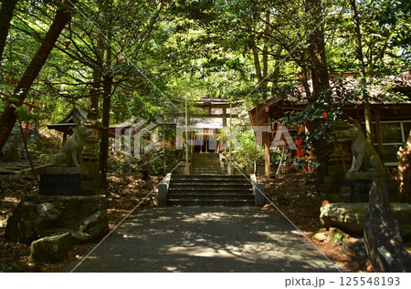埼玉県寄居町風布のパワースポット　釜山神社 125548193