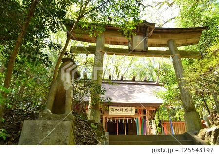 埼玉県寄居町風布のパワースポット　釜山神社 125548197