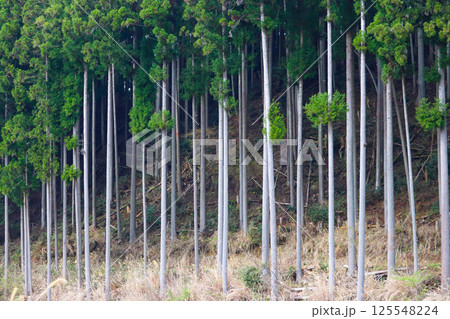 奈良県御杖村の山林 125548224