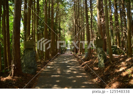 埼玉県寄居町風布のパワースポット　釜山神社 125548338
