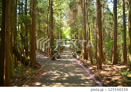 埼玉県寄居町風布のパワースポット　釜山神社 125548339