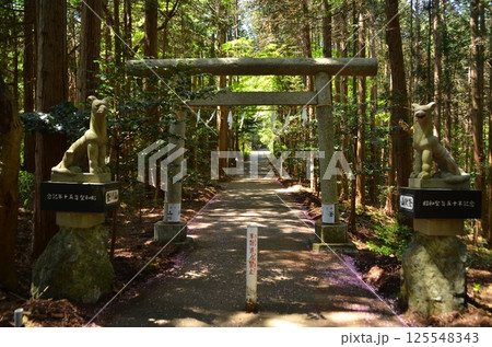 埼玉県寄居町風布のパワースポット 釜山神社 埼玉県寄居町風布のパワースポット 釜山神社 125548343