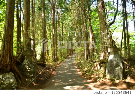 埼玉県寄居町風布のパワースポット　釜山神社 125548641