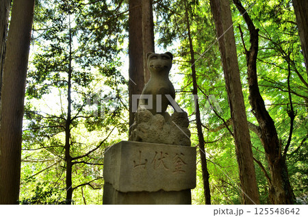 埼玉県寄居町風布のパワースポット　釜山神社 125548642