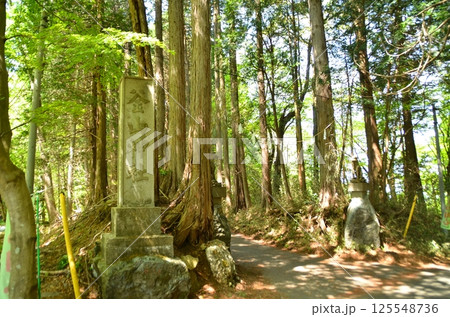 埼玉県寄居町風布のパワースポット　釜山神社 125548736