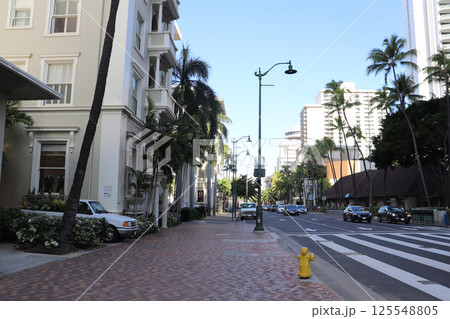 南国リゾート都市の街並みとヤシの木 125548805