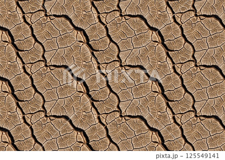 Seamless Dry Cracked Mud Texture 125549141