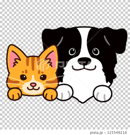 Simple and cute border collie and brown tabby cat Simple and cute border collie and brown tabby cat 125549218
