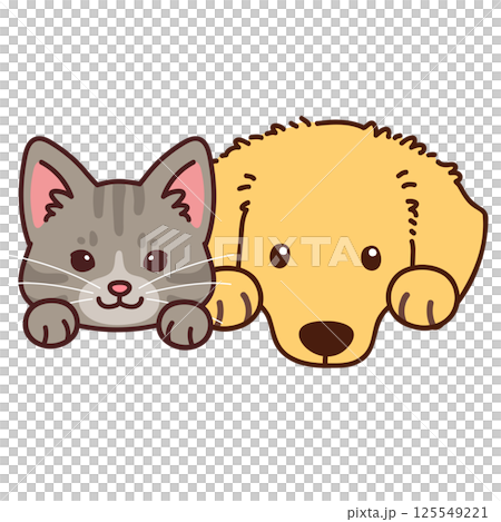 簡單可愛的迷你臘腸犬和虎斑貓 125549221