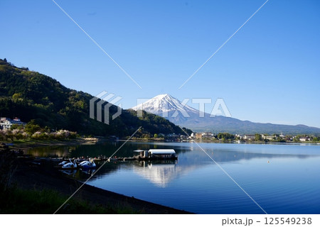 河口湖と富士山 125549238