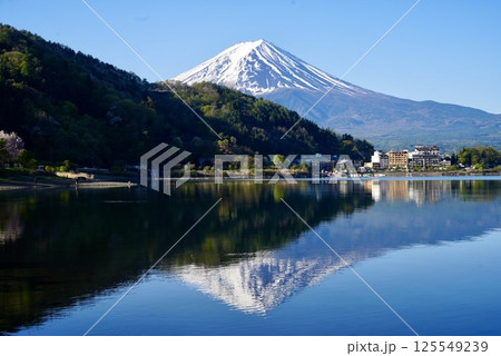 河口湖に映る富士 125549239
