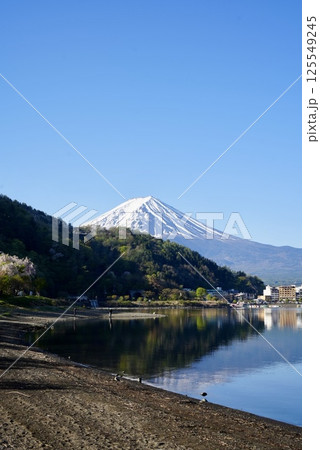 春の冠雪した富士山と河口湖 春の冠雪した富士山と河口湖 125549245
