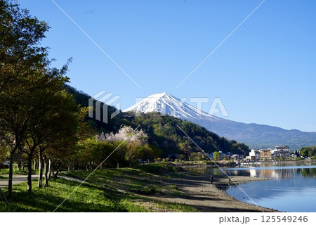 河口湖沿いの散歩道と富士山 河口湖沿いの散歩道と富士山 125549246