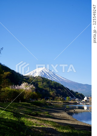 冠雪した富士山と春の河口湖 125549247