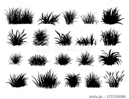 Grass black silhouettes. Nature elements for meadow or lawn. Garden floor covering. Decorative organic collection for design, decorations, vector set 125550066