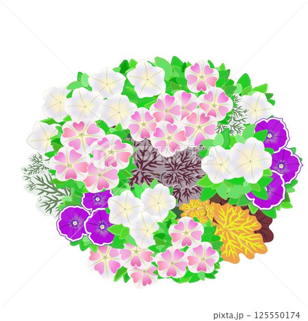 夏の花の寄せ植えスリット鉢のイラスト 125550174