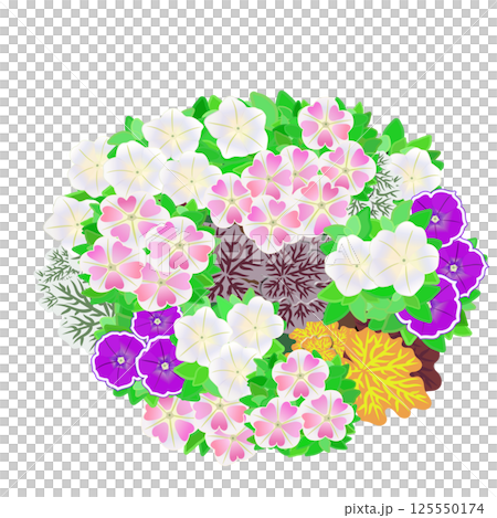 夏の花の寄せ植えスリット鉢のイラスト 125550174