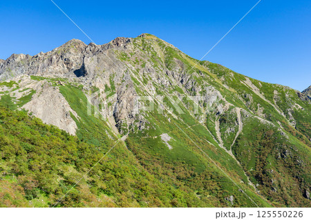 大聖寺平から見上げる荒川前岳 南アルプス 赤石岳登山 大聖寺平から見上げる荒川前岳 南アルプス 赤石岳登山 125550226