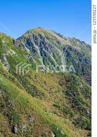 大聖寺平から見上げる悪沢岳 南アルプス 赤石岳登山 大聖寺平から見上げる悪沢岳 南アルプス 赤石岳登山 125550227