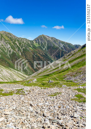 小赤石岳の肩から見上げる悪沢岳　南アルプス　赤石岳登山 125550237
