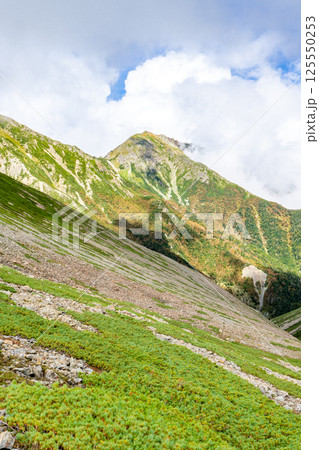 大聖寺平から見上げる悪沢岳　南アルプス　赤石岳登山 125550253