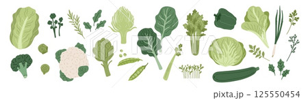 Green vegetables. Fresh leaf salad, cabbage strong heads, vegetarian natural food, artichokes, zucchini and herbs, healthy diet cooking ingredients, cartoon isolated garish vector set 125550454