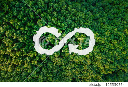 circular economy icon aerial view of forest and trees circular economy icon aerial view of forest and trees 125550754