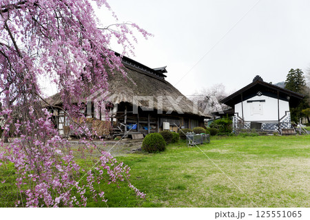 岩手県滝沢市 桜と南部曲り家 藤倉邸 125551065