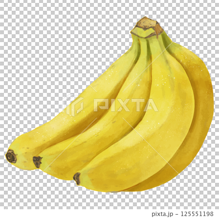 Realistic hand-drawn illustration of a bunch of yellow bananas 125551198