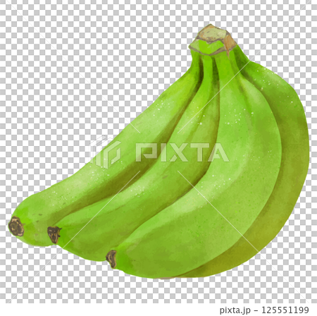 Realistic hand drawn illustration of a bunch of blue prematurely ripe bananas 125551199