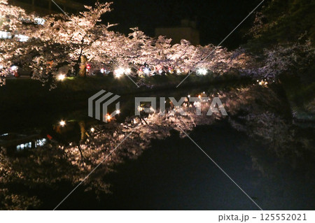 弘前の弘前公園のソメイヨシノの美しい夜桜 弘前の弘前公園のソメイヨシノの美しい夜桜 125552021