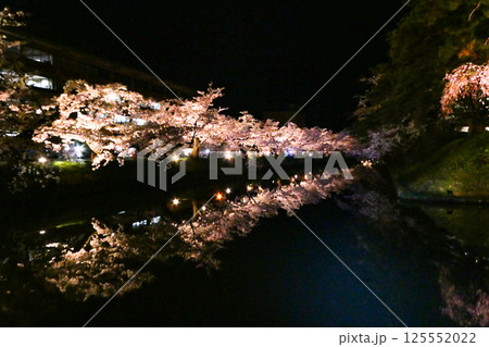 弘前の弘前公園のソメイヨシノの美しい夜桜 弘前の弘前公園のソメイヨシノの美しい夜桜 125552022
