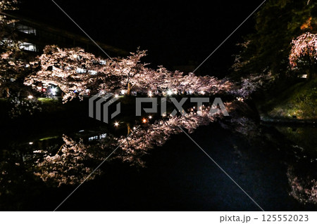 弘前の弘前公園のソメイヨシノの美しい夜桜 125552023