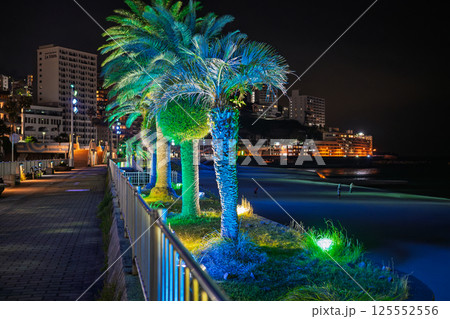 夜の熱海サンビーチ　幻想的なライトアップ 125552556