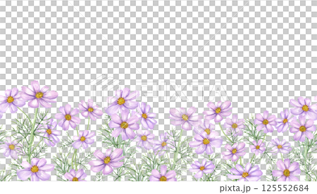 Watercolor pink cosmos flower with green leaves seamless banner isolated background. Cosmea flowers branches illustration. Floral summer, autumn ornate for wedding invitation, birthday textile 125552684