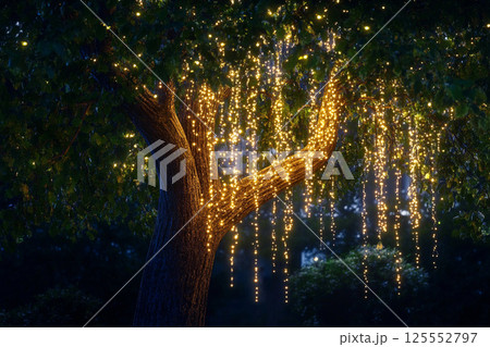 Magical glowing tree with hanging lights in a serene nighttime landscape 125552797